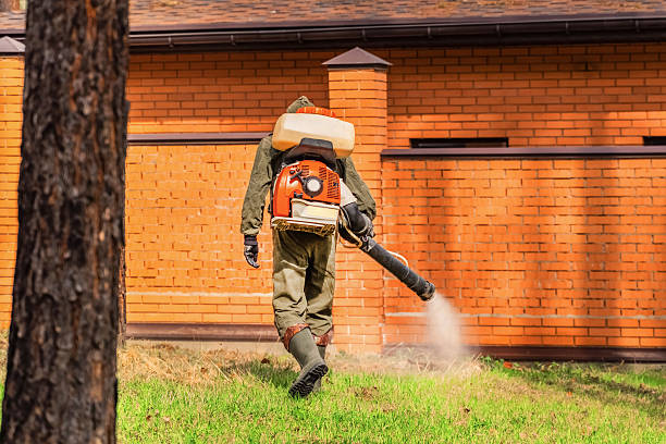 Trusted Mosquito Control service in Kingston Springs, TN - Nex Pest Control